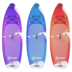 Modèle CIRCLE de PAPADDLE